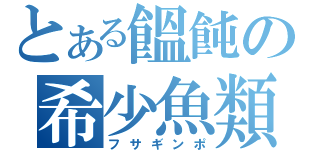 とある饂飩の希少魚類（フサギンポ）