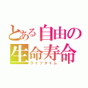 とある自由の生命寿命（ライフタイム）