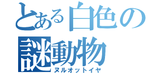 とある白色の謎動物（ヌルオットイヤ）