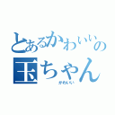 とあるかわいいの玉ちゃん（　　　　　かわいい）