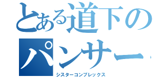 とある道下のパンサー（シスターコンプレックス）