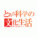 とある科学の文化生活（サブカルチャー）