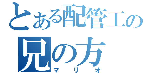 とある配管工の兄の方（マリオ）