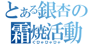 とある銀杏の霜焼活動（ぐひゃひゃひゃ）