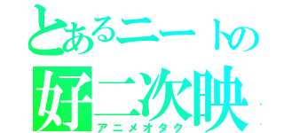 とあるニートの好二次映像（アニメオタク）