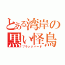 とある湾岸の黒い怪鳥（ブラックバード）