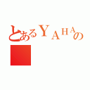 とあるＹＡＨＡＬＬＯの（）