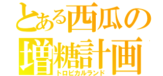 とある西瓜の増糖計画（トロピカルランド）