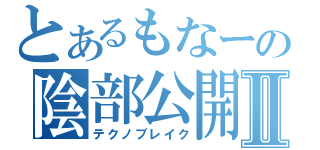 とあるもなーの陰部公開Ⅱ（テクノブレイク）