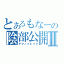 とあるもなーの陰部公開Ⅱ（テクノブレイク）