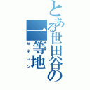 とある世田谷の一等地（ゼネコン）