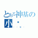 とある神基の小貓（绝对可爱）