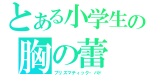 とある小学生の胸の蕾（プリズマティック・バド）