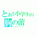 とある小学生の胸の蕾（プリズマティック・バド）