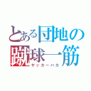 とある団地の蹴球一筋（サッカーバカ）