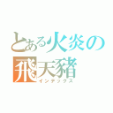 とある火炎の飛天豬（インデックス）