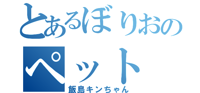 とあるぼりおのペット（飯島キンちゃん）