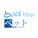 とあるぼりおのペット（飯島キンちゃん）