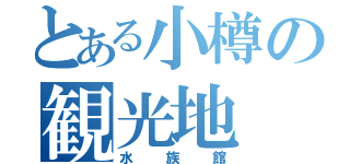 とある小樽の観光地（水族館）