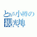 とある小樽の観光地（水族館）