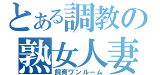 とある調教の熟女人妻（飼育ワンルーム）