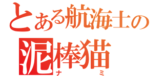 とある航海士の泥棒猫（ナミ）