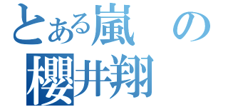 とある嵐の櫻井翔（）