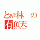 とある林の有頂天（エクスタシー）