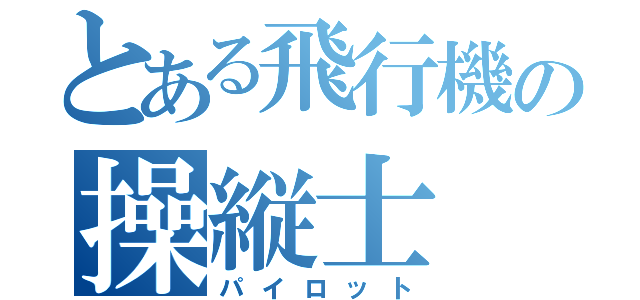 とある飛行機の操縦士（パイロット）