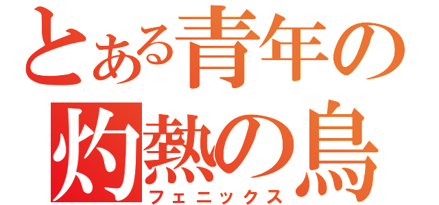 とある青年の灼熱の鳥（フェニックス）