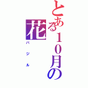 とある１０月の花（バジル）