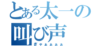 とある太一の叫び声（ぎゃぁぁぁぁ）