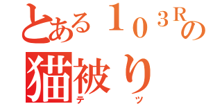 とある１０３Ｒの猫被り（テツ）