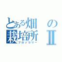 とある畑の栽培所Ⅱ（ブロッコリー）