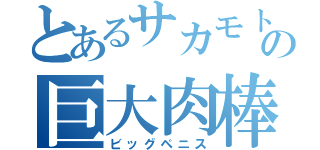 とあるサカモトの巨大肉棒（ビッグペニス）