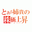 とある姉貴の株価上昇（（゜∀゜）！？）