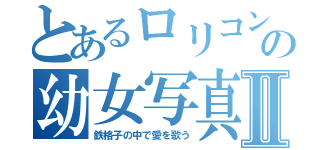 とあるロリコンの幼女写真Ⅱ（鉄格子の中で愛を歌う）