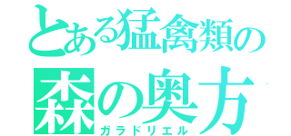 とある猛禽類の森の奥方（ガラドリエル）