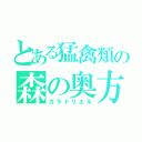 とある猛禽類の森の奥方（ガラドリエル）