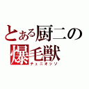 とある厨二の爆毛獣（チュニオッソ）