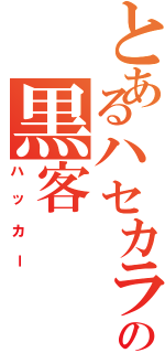 とあるハセカラの黒客（ハッカー）