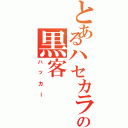 とあるハセカラの黒客（ハッカー）