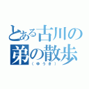 とある古川の弟の散歩（（ゆうき））