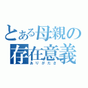 とある母親の存在意義（ありがたさ）