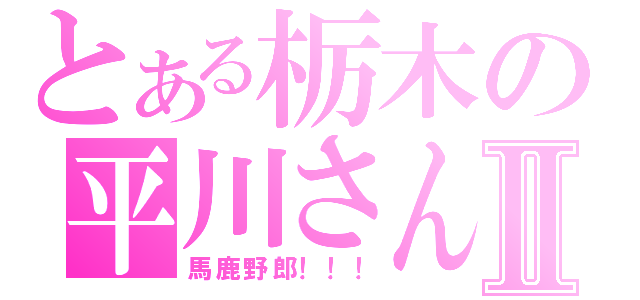 とある栃木の平川さんⅡ（馬鹿野郎！！！）