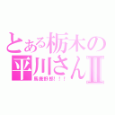 とある栃木の平川さんⅡ（馬鹿野郎！！！）