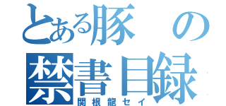 とある豚の禁書目録（関根龍セイ）