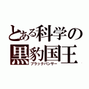 とある科学の黒豹国王（ブラックパンサー）