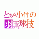 とある小竹の羽玉球技（バドミントン）