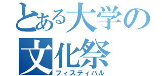 とある大学の文化祭（フィスティバル）